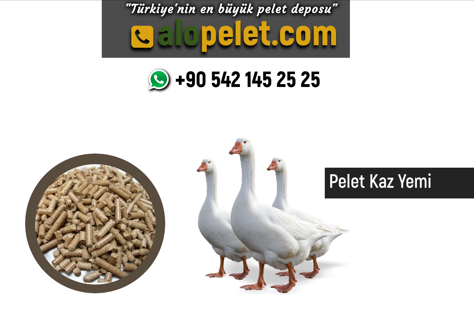 Pelet Kaz Yemi