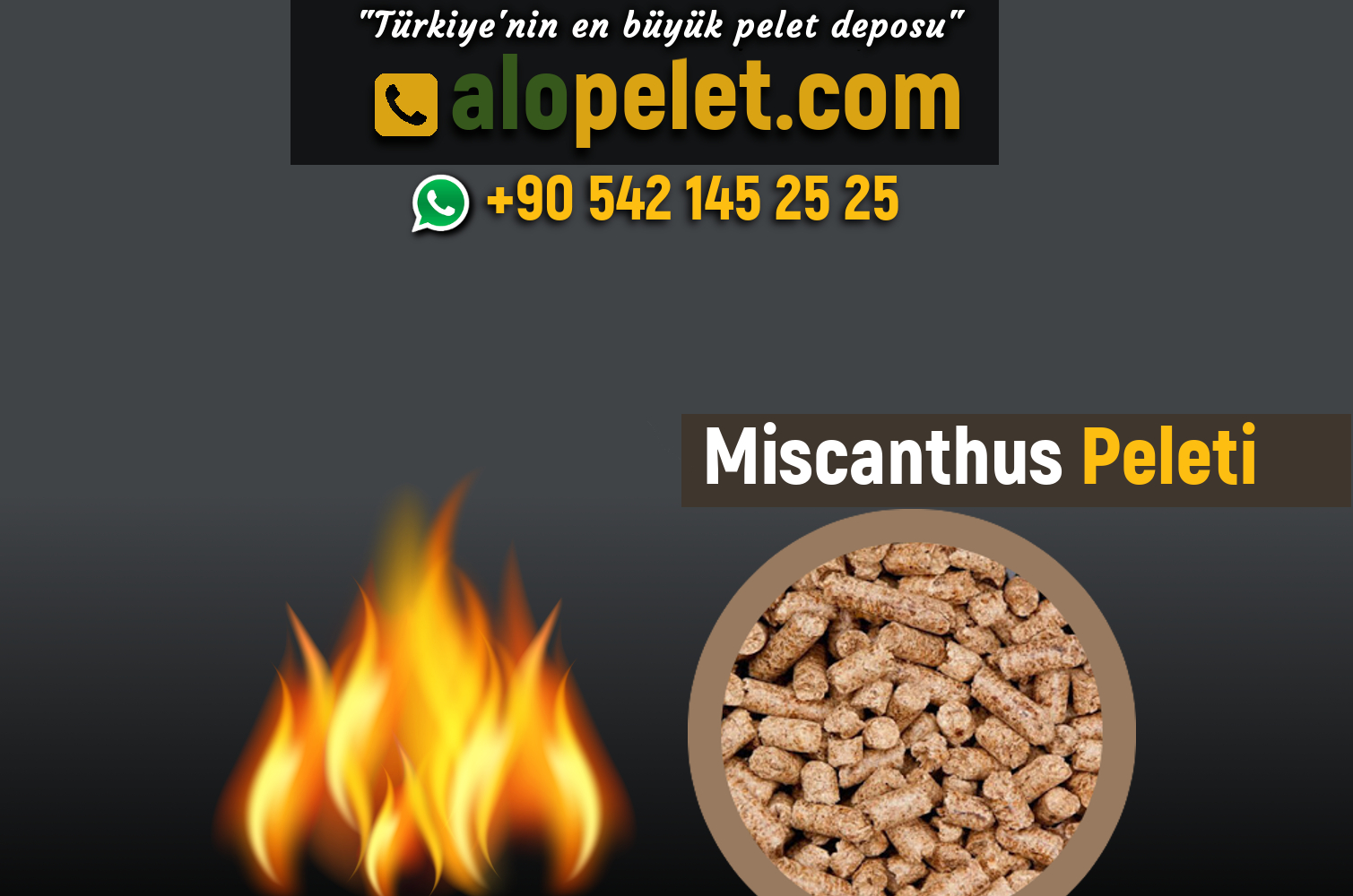 Miscanthus Peleti