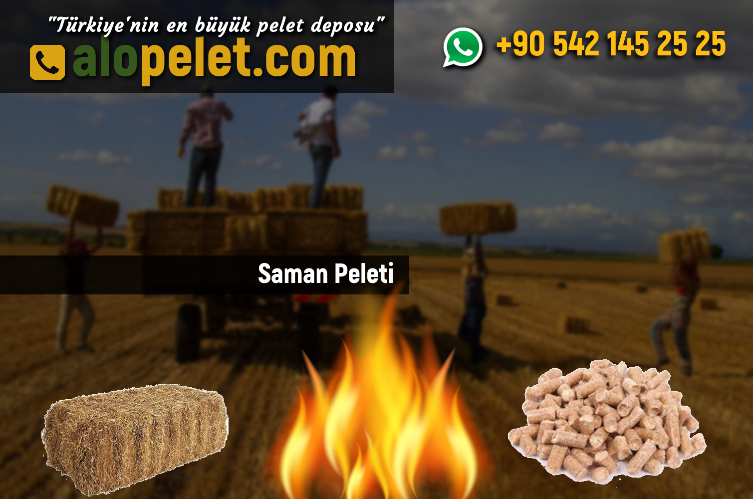 Saman Peleti - alopelet.com
