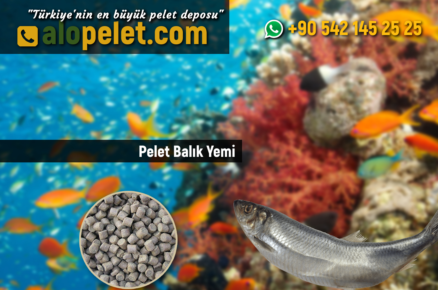 Pelet Balık Yemi - alopelet.com
